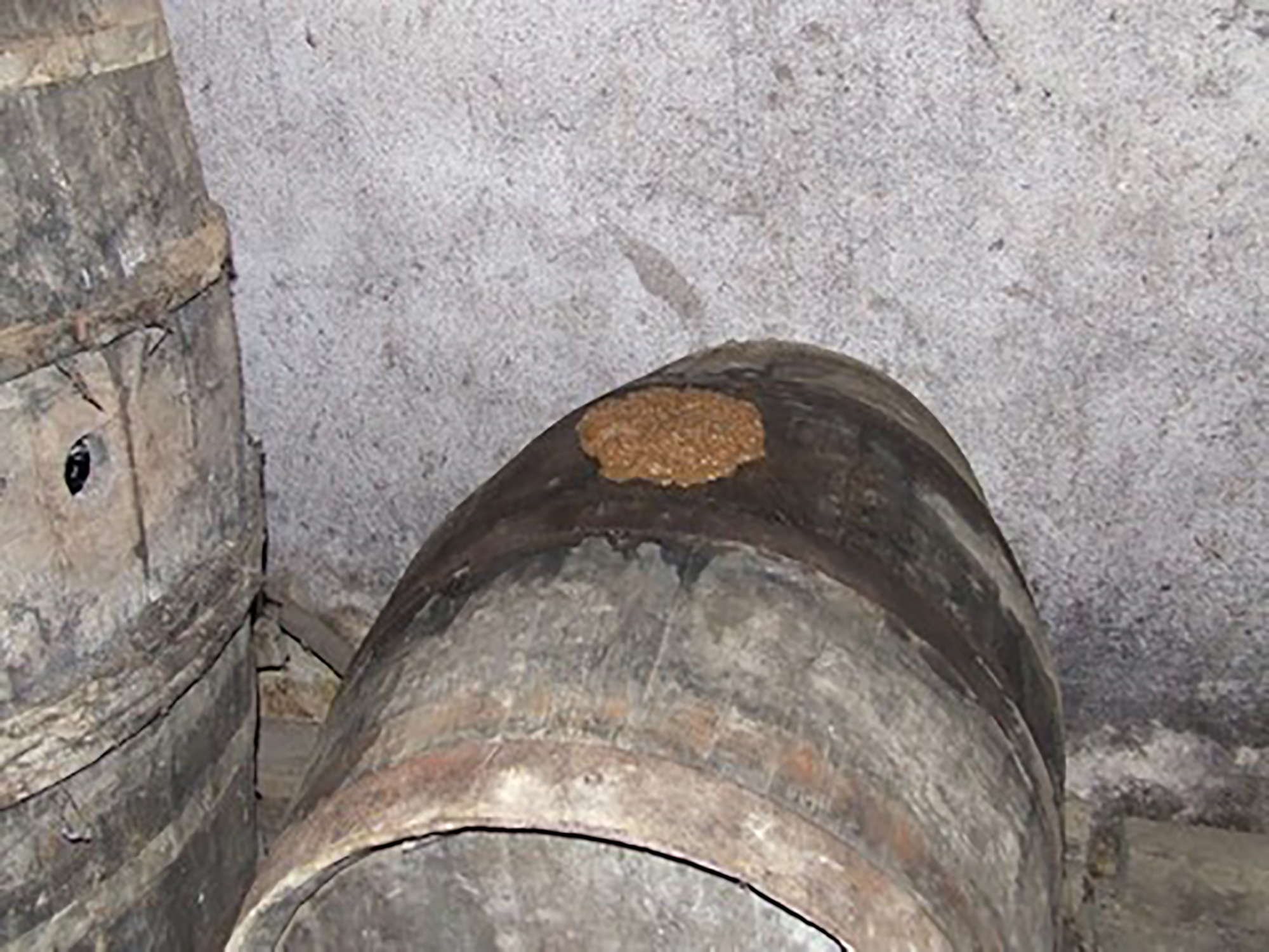 Fermentation du cidre - 