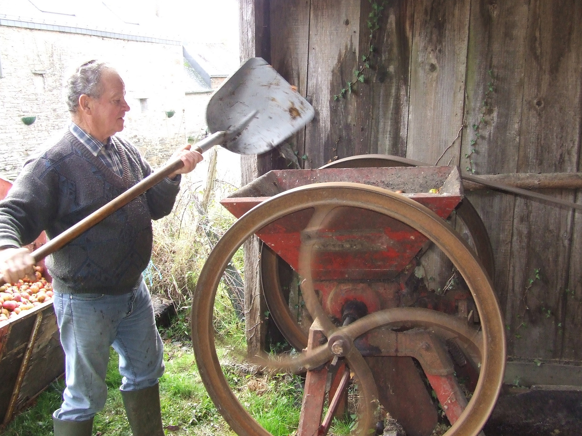 Broyage des Pommes - 