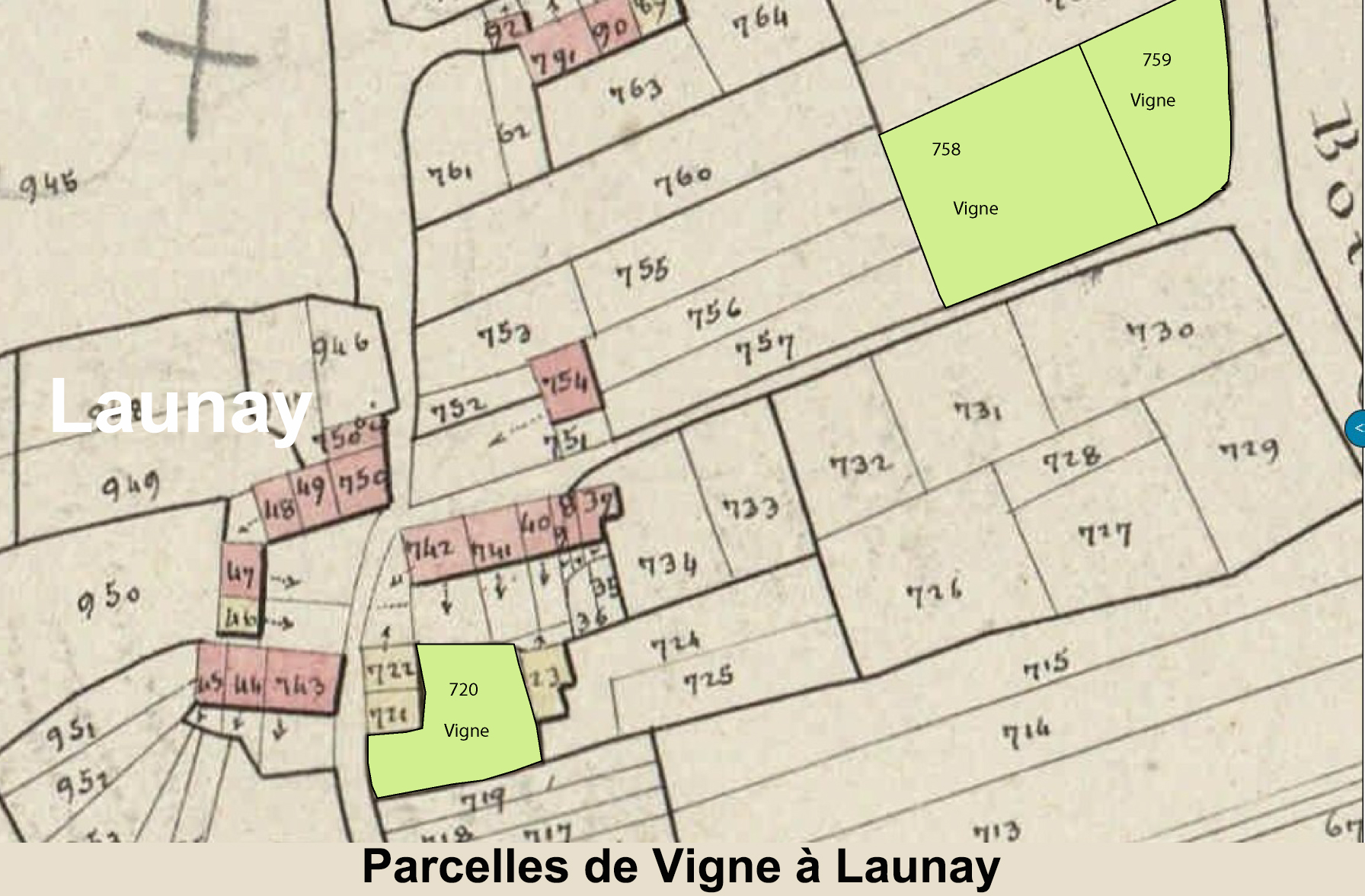 Cadastre de 1824 les vignes à Launay -