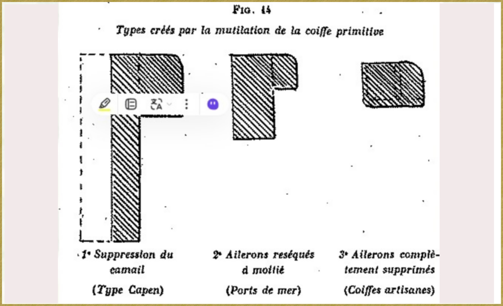 Mutilation de la Coiffe - 