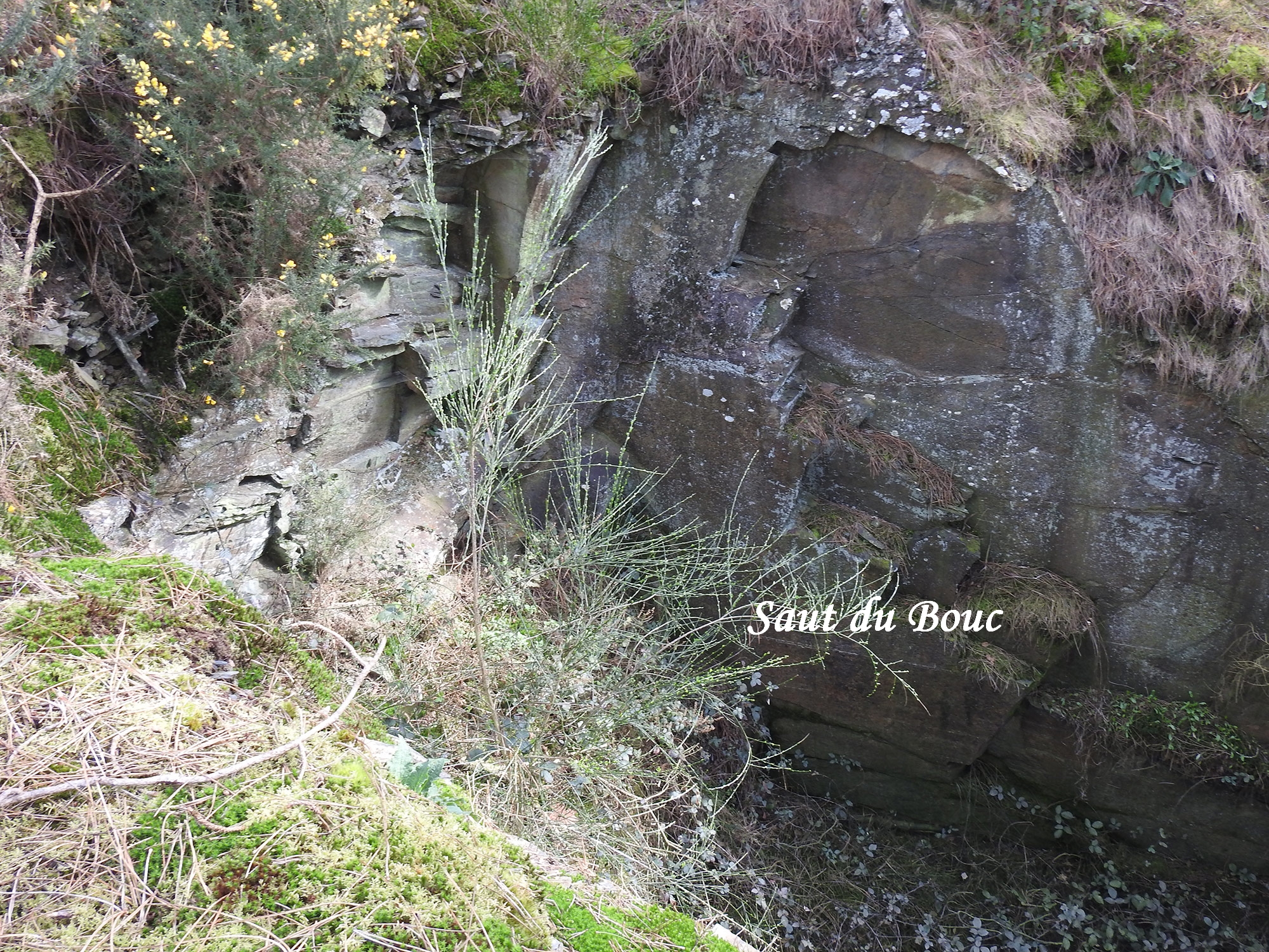 Saut du Bouc 