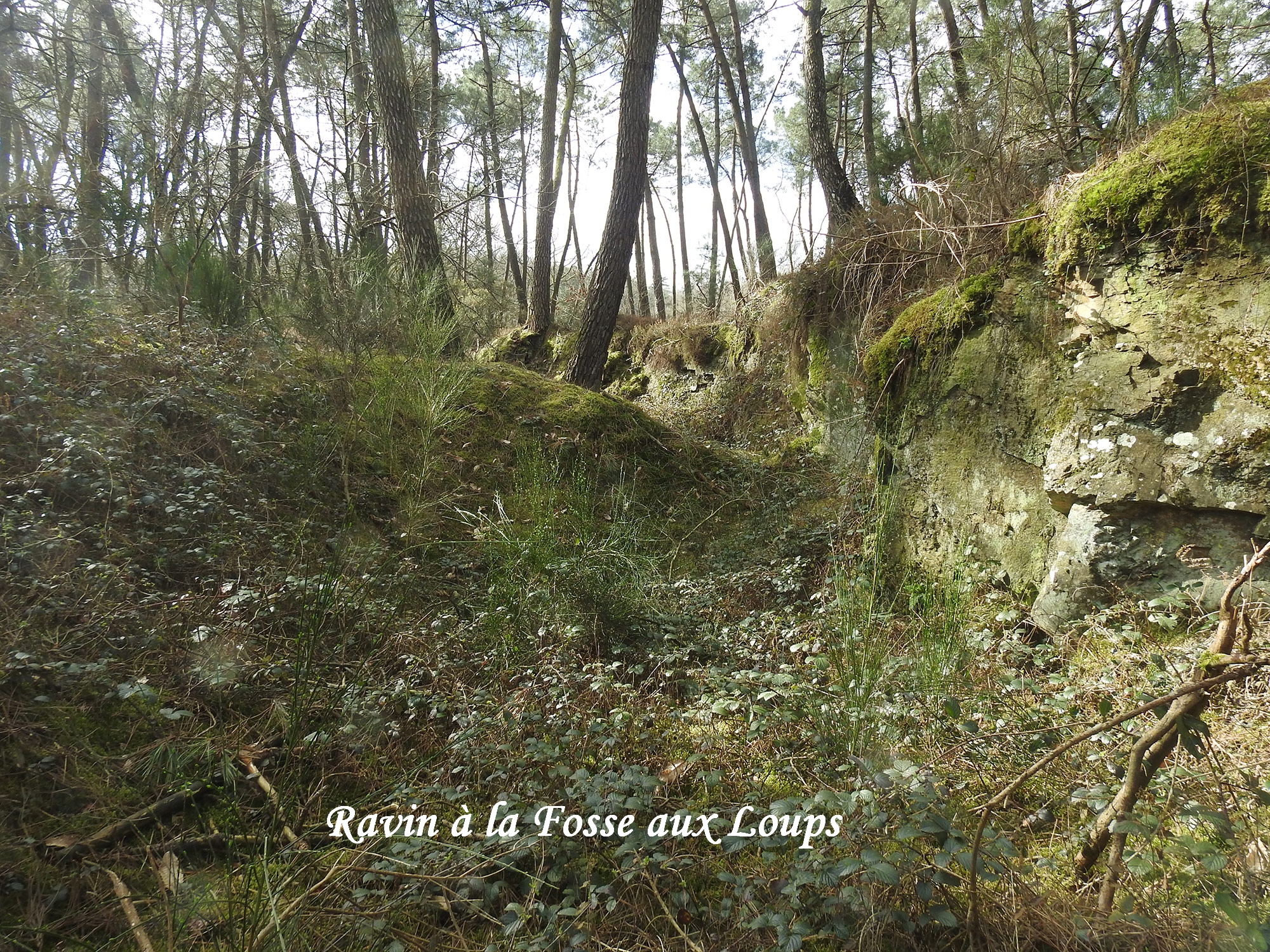 Histoire de Glénac