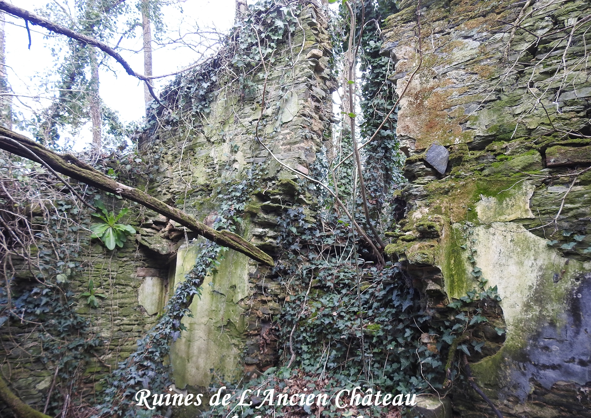 Ruines de L’Ancien Château - Histoire de Glénac Ruines