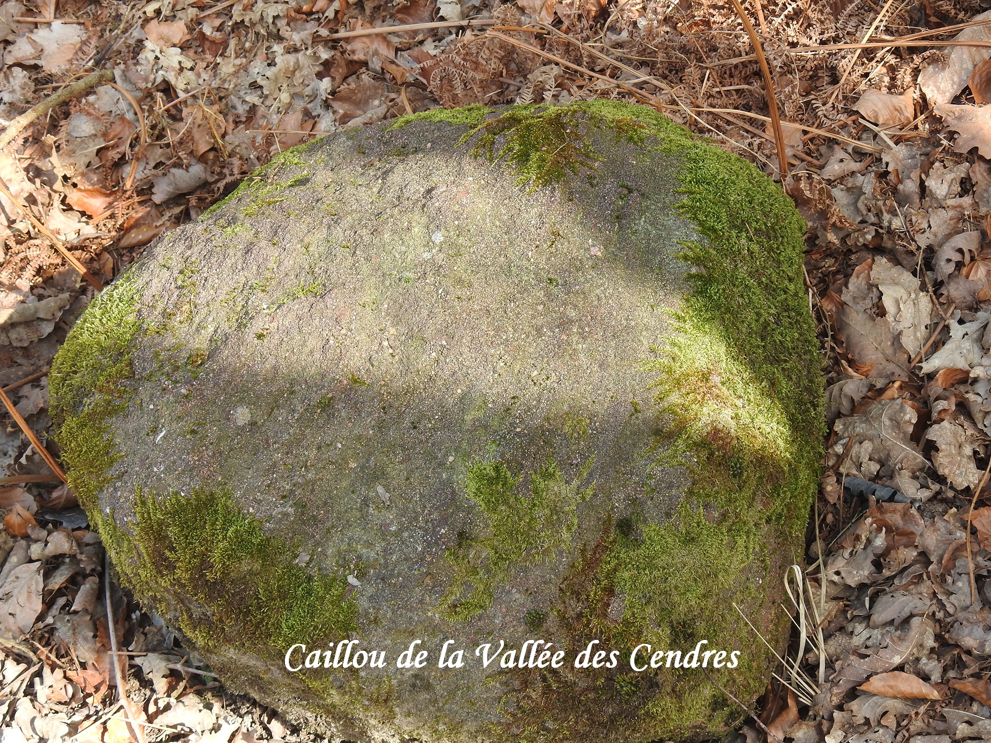 Caillou de la Vallée des Cendres - Histoire de Glénac Caillou de la Vallée des Cendres -