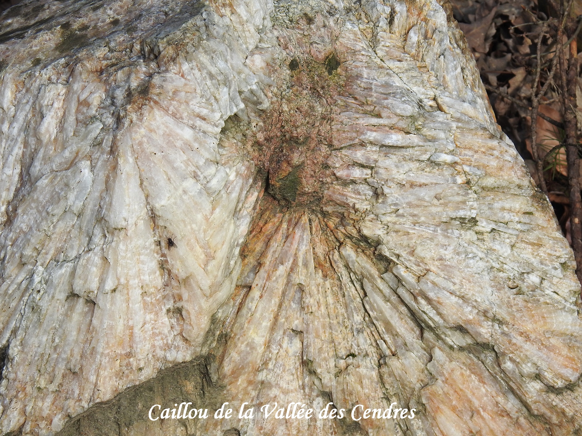 Caillou de la Vallée des Cendres - Histoire de Glénac Caillou de la Vallée des Cendres