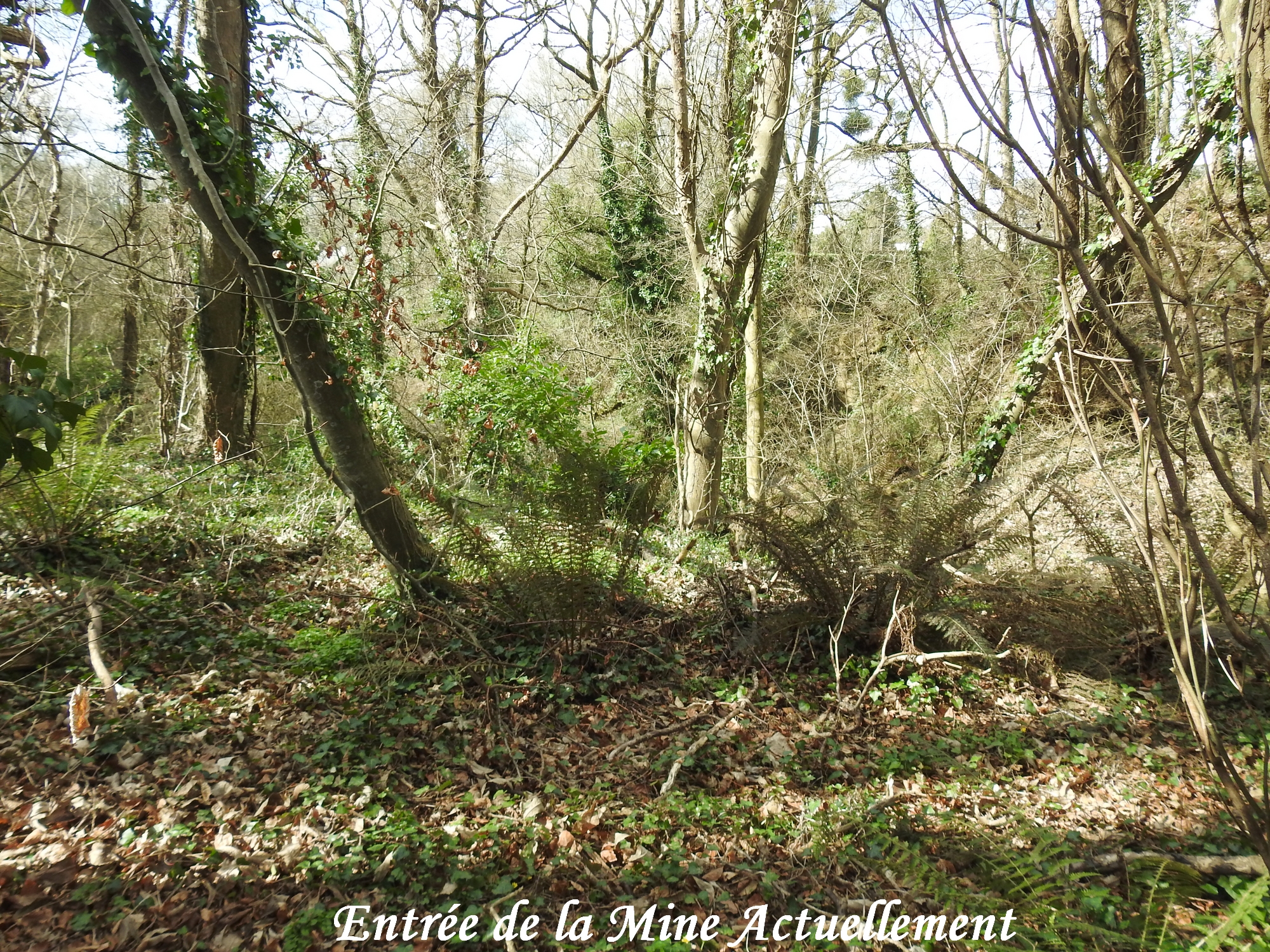Entree de la mine-Histoire de Glénac Entrée