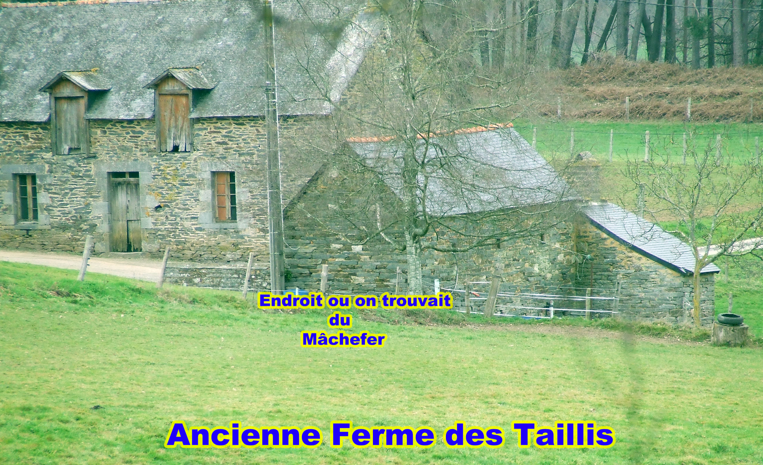 Ancienne ferme des Taillis - Histoire de Glénac Ancienne ferme des Taillis -