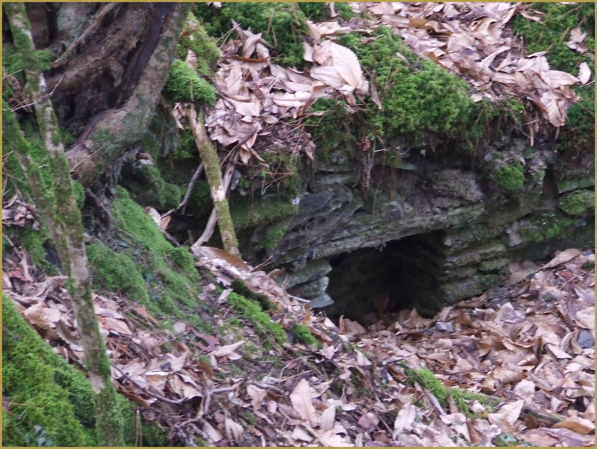 Photo des restes du moulin des Patouillettes - 