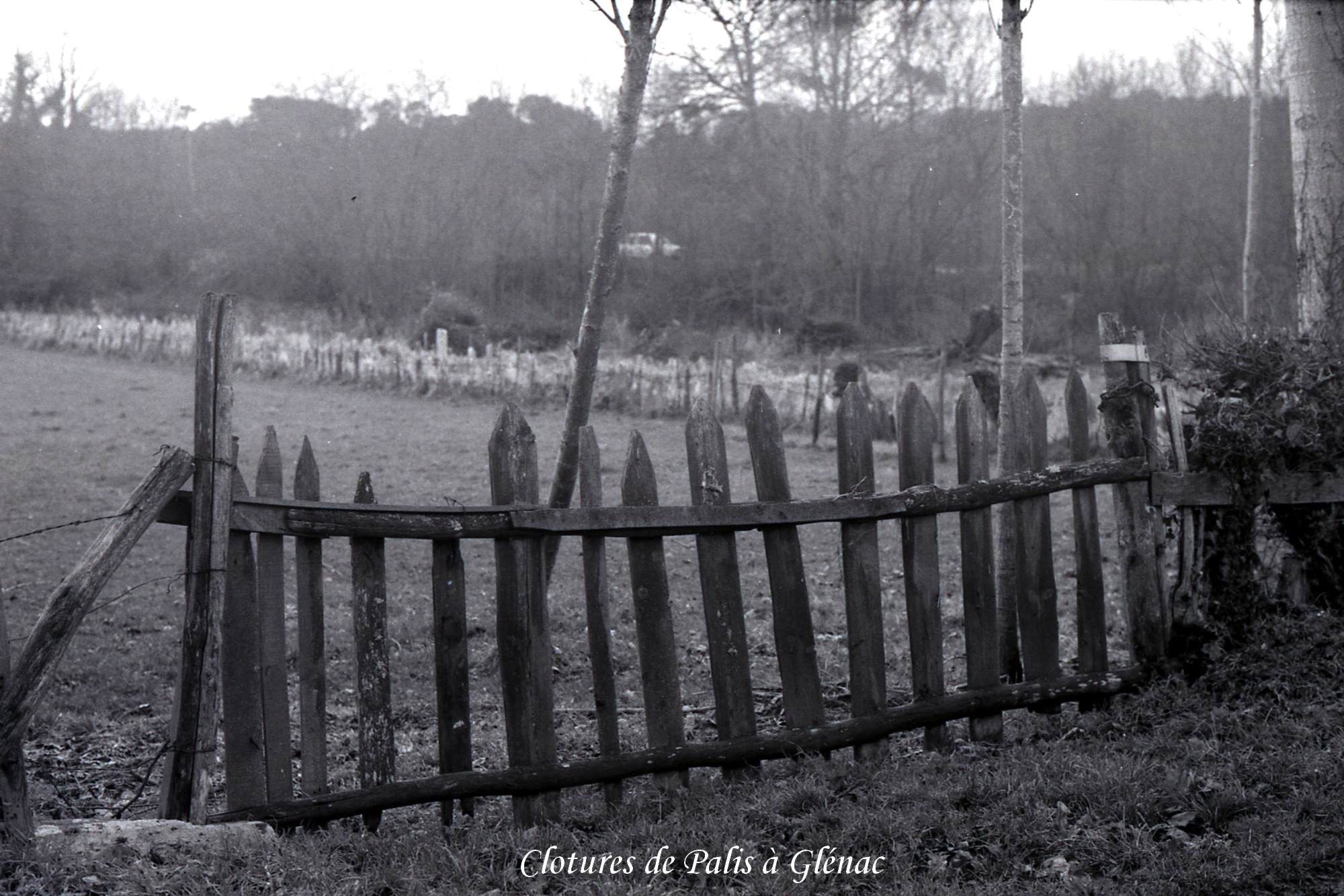 Palissade de palis à Glénac -