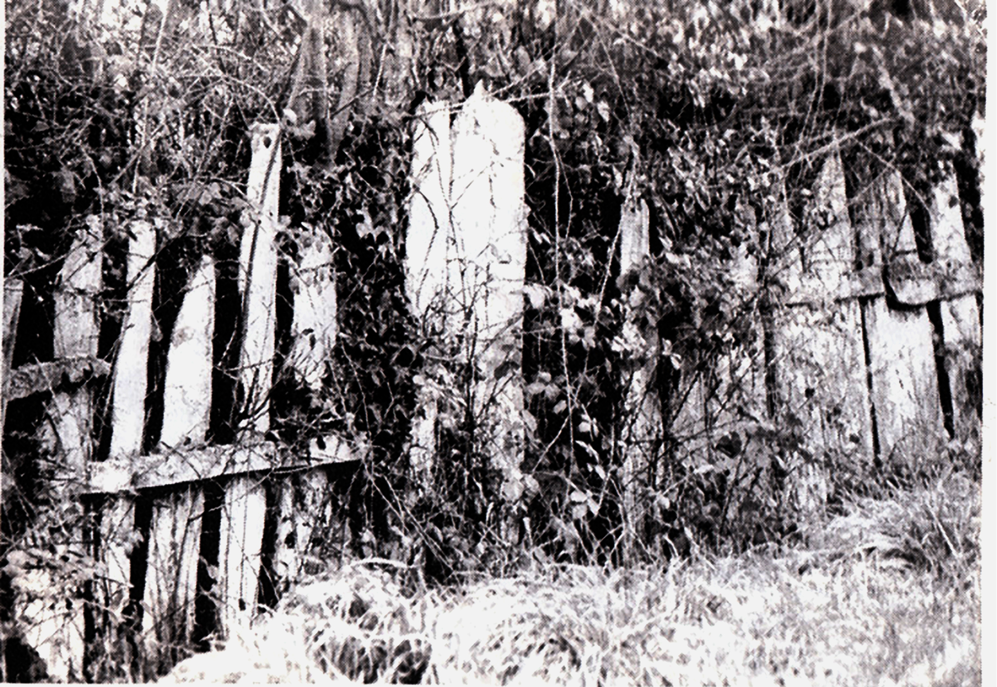 Clôtures sèches - 